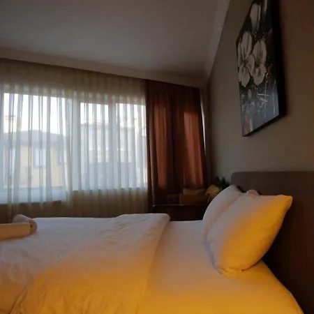 Puffin ホームステイ