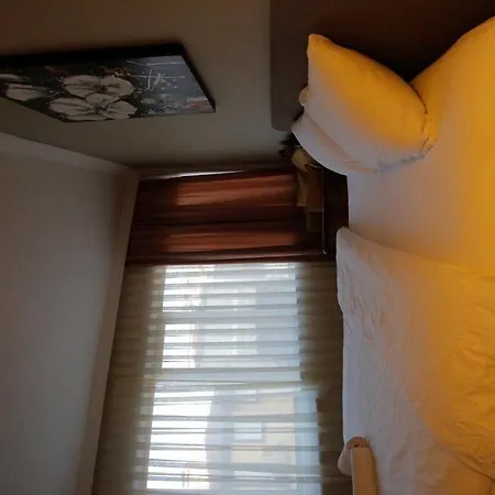 Puffin ホームステイ *